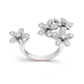 VCARB14500 - Socrate Between the Finger ring